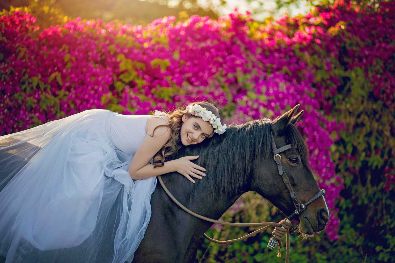 צילום סוסים על רקע פרחים