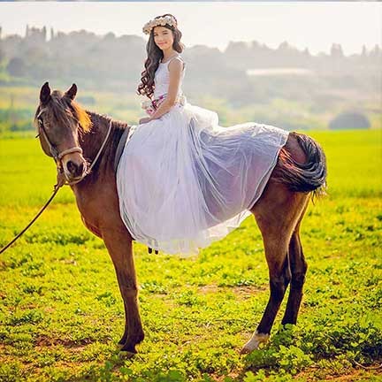 בוק בת מצווה עם סוסים