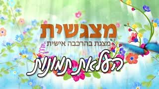 מצגשית - העלאת תמונות